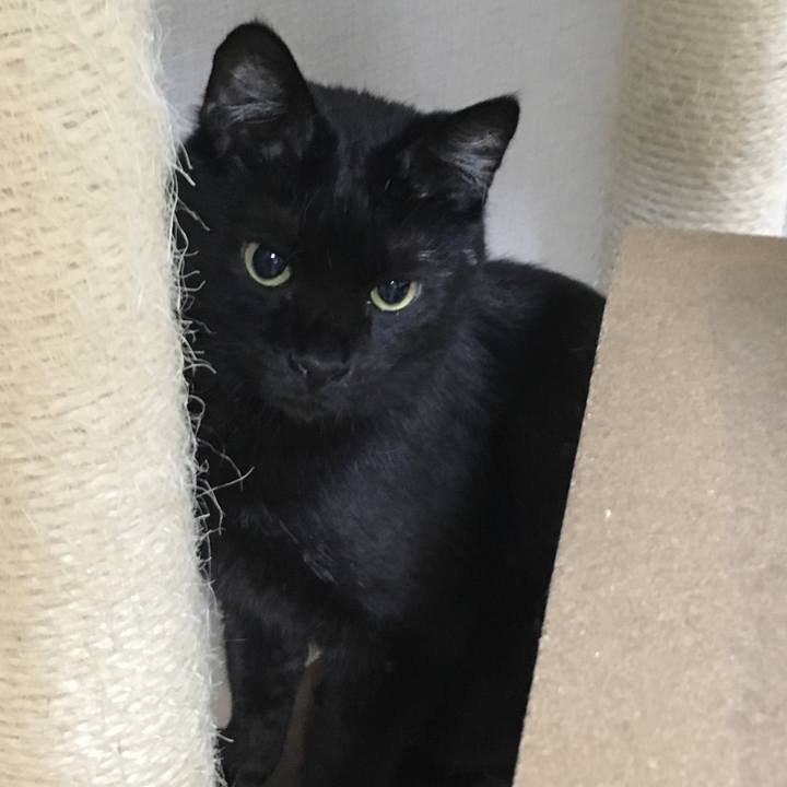 15330823 1fe4 4f89 a129 2e4e72f2c94f 1532243328329