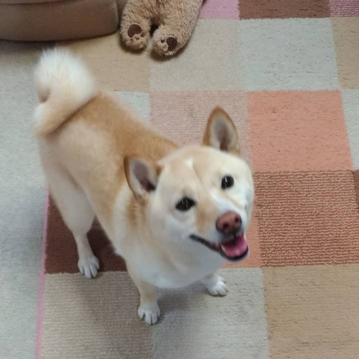 15331dd4 10ea 4f7e a696 c0dea1e1bce8 1582236553841