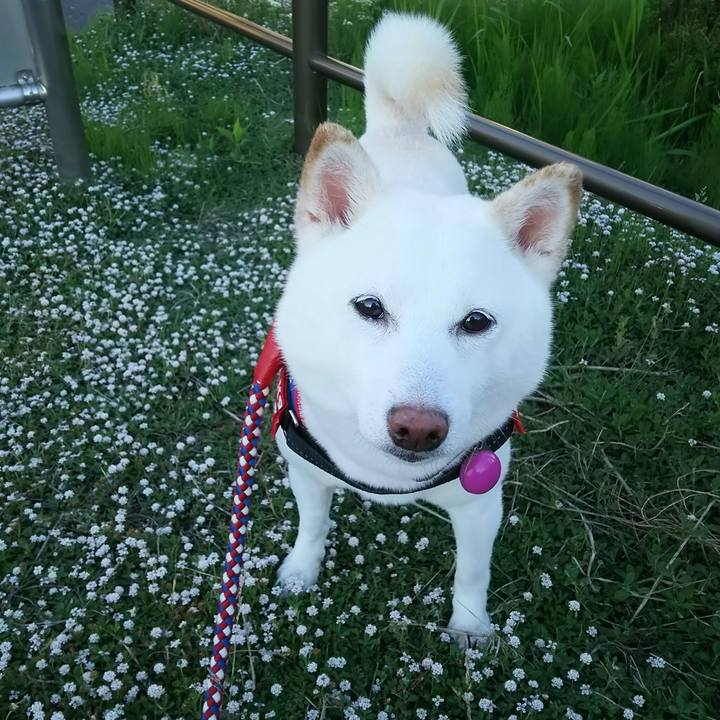 15333a7f 2f2b 4324 87fd 8cee45a5c3a9 1592733512823