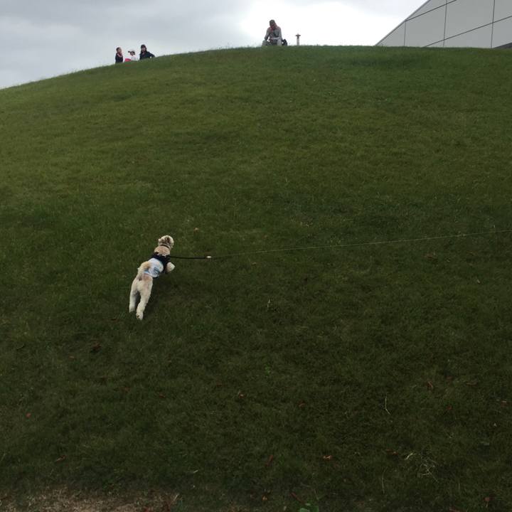 15334316 26e9 4a75 83fa e0a46a43be03 1539560363177