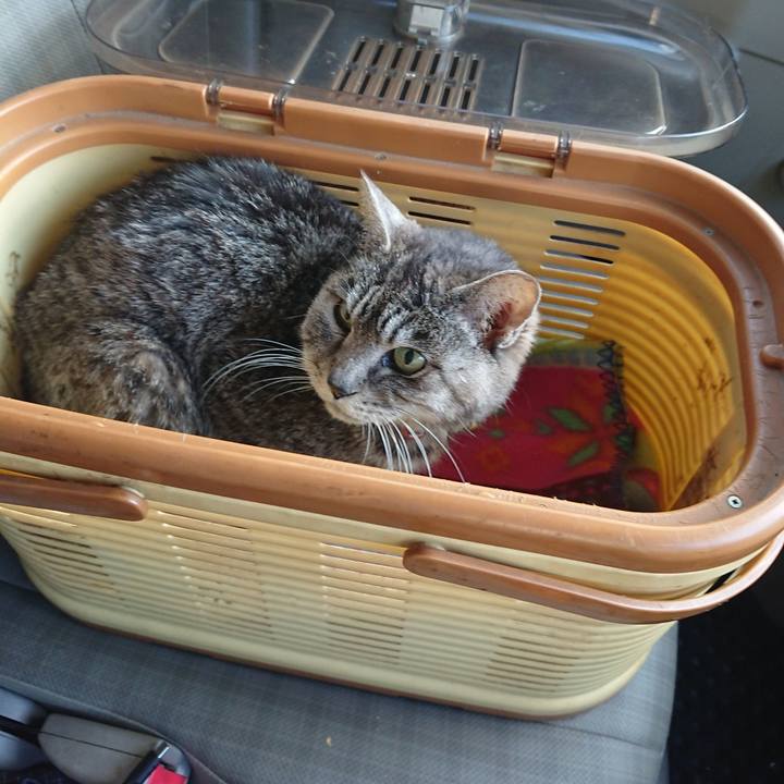 15336c79 a068 4f56 9cbd 03ff6d3c8474 1580539943030