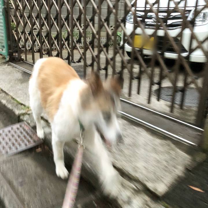 15337c83 c48f 462c 91c3 80c4c9217203 1535363695570