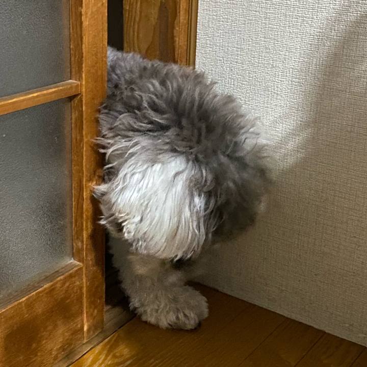 153385ee 414a 4044 a103 f0c9a99d1c74 1605808389967