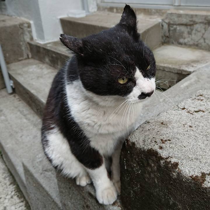 1533b444 88f8 4d45 a9e0 542ddb7c029e 1646812799899