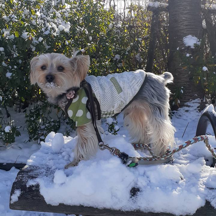 1533c1b2 300f 4c62 b69e 89021a8d2330 1674607132076