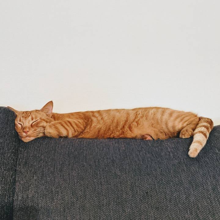 1533dcb1 f301 4359 bcfc 52c80914ddbe 1627273785116