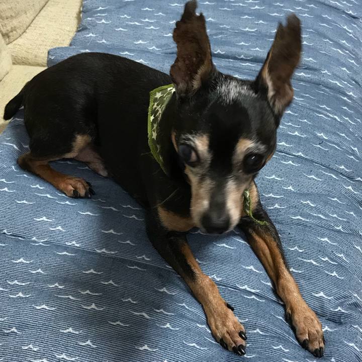 1533e171 7f4b 454d 8fb5 ab7f1be653d8 1538900817648