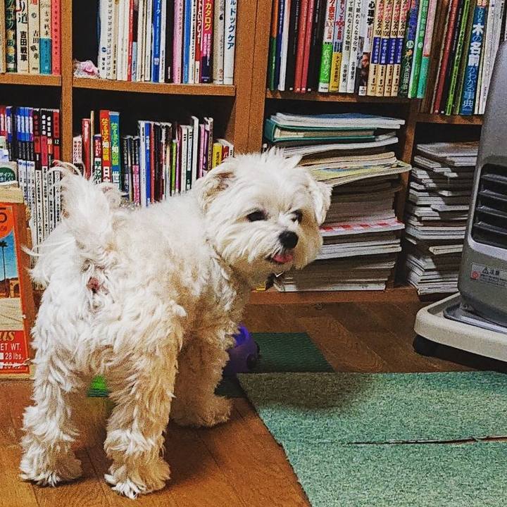 1533e9d6 6feb 430c b026 612ea684b197 1586091477587