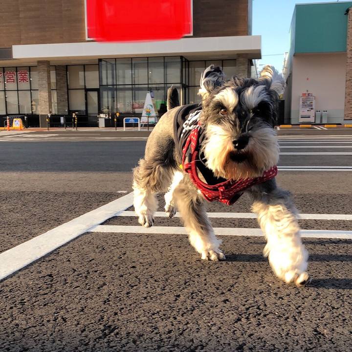 153451c5 48f6 457b b4f1 039e31a13a6a 1547558099656