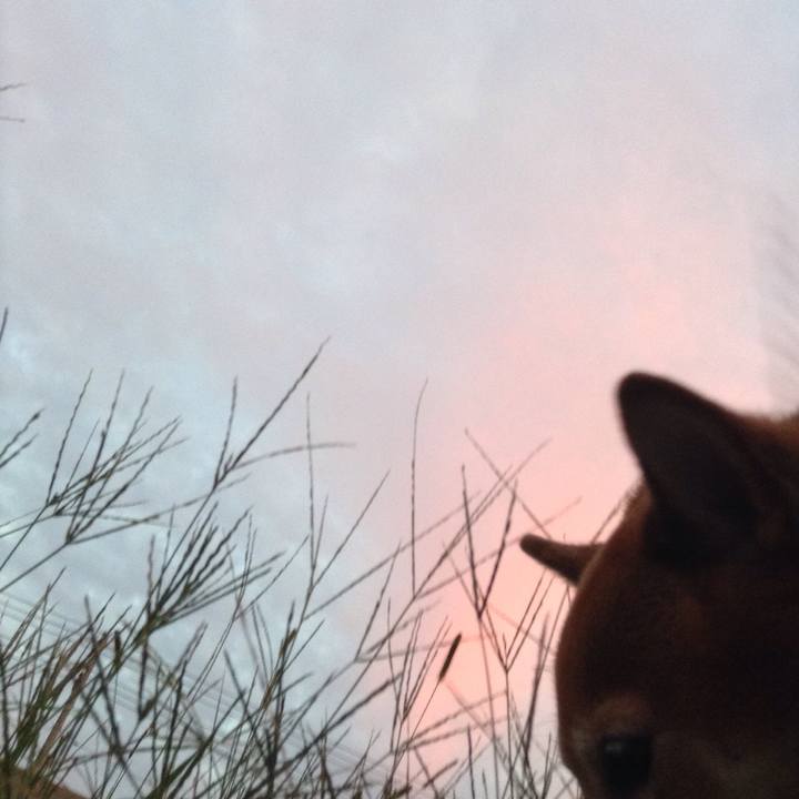 15345788 b94c 4833 9ab5 1811c110b7f0 1538040570013