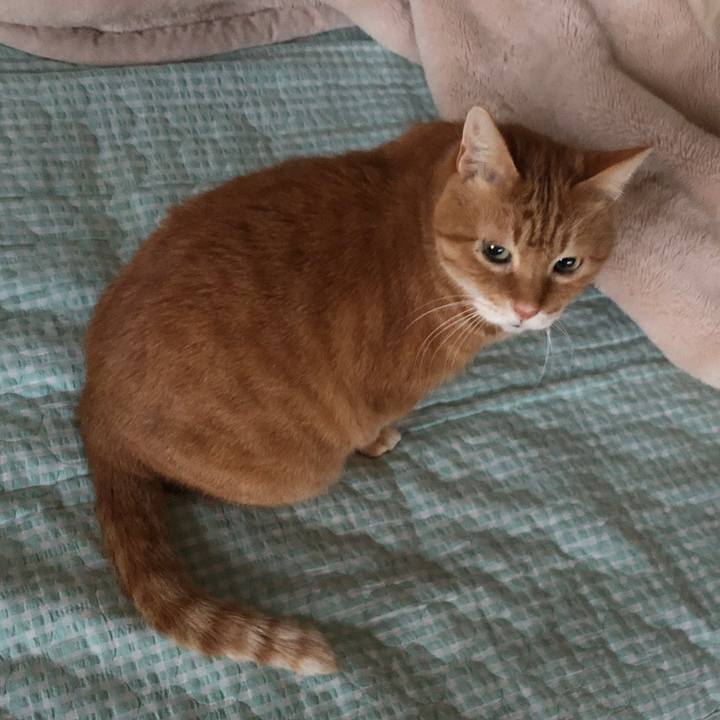 153468a7 5b1e 4fd5 ba55 df90598fffca 1731589036801