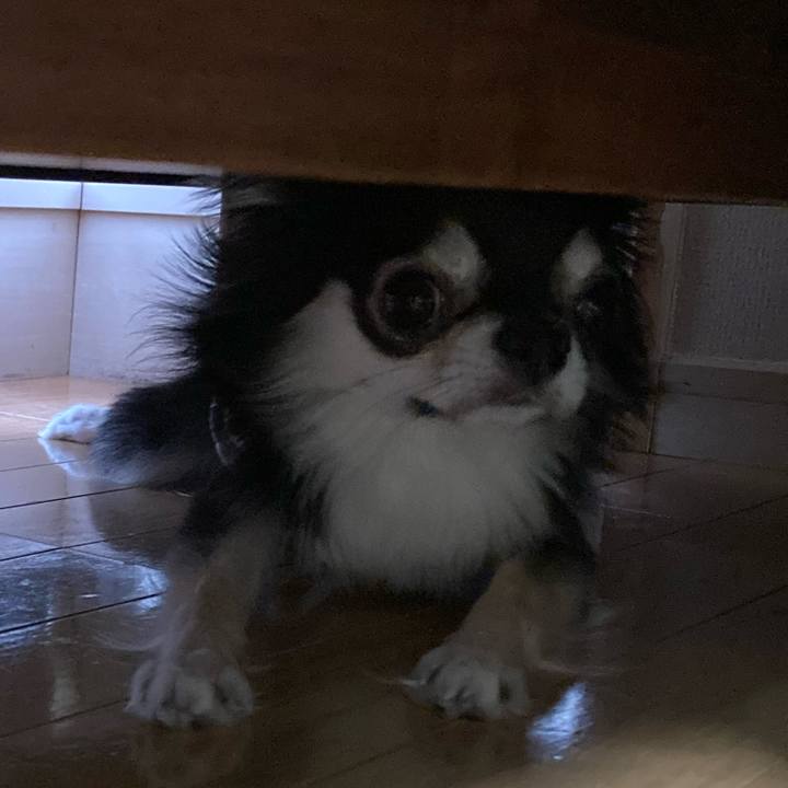 15346cda e1c8 461e 99e3 77e1fa1fcace 1652017019969