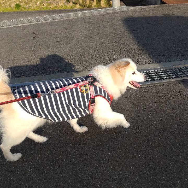 15347365 8c59 4734 8ecc b02a0bc74540 1642204498713