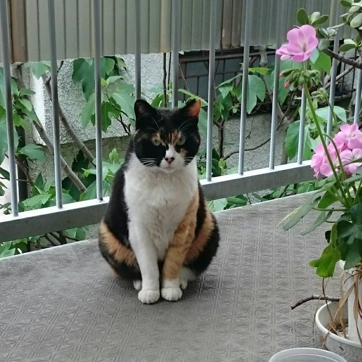 1534e019 017e 46bc 86ee 08e704ef4c4a 1523764689901