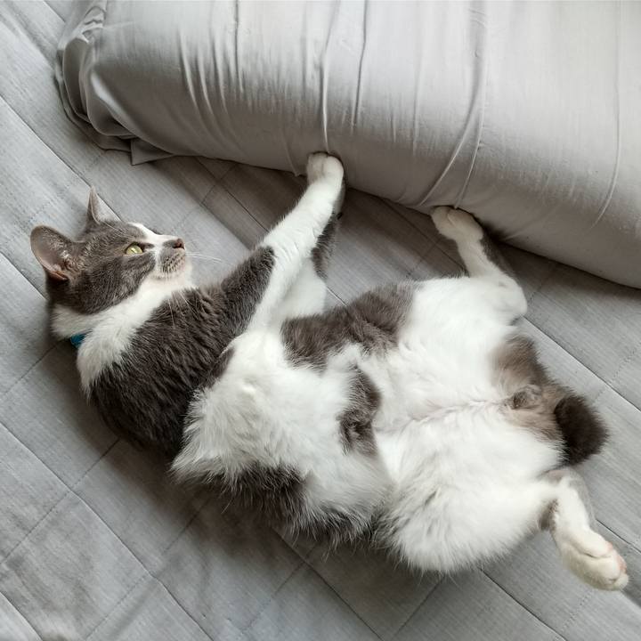 1534e5f8 3ca6 413c 89a4 37e394bee4ef 1623133460611