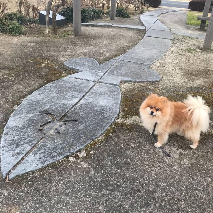 153512d4 9d74 40a9 8101 0f3edace6a22 1516457467911