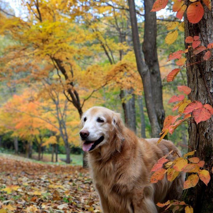 1535267f 329d 4548 b5da 821f3515386d 1762941338006