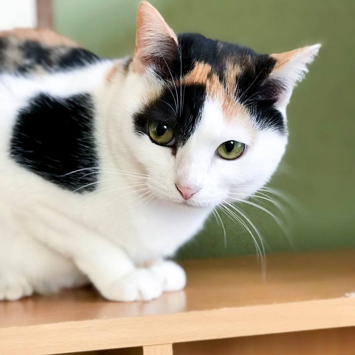 1535405c 055a 4293 8264 d273ee21dd9d 1515803714987