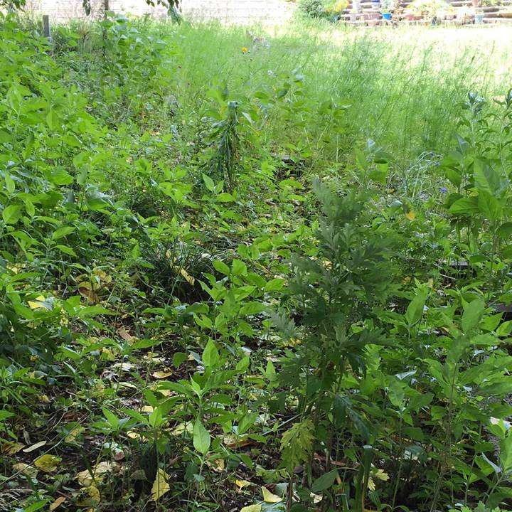 15354cad 0e2c 4362 b971 050b7a3e69f4 1560762698345