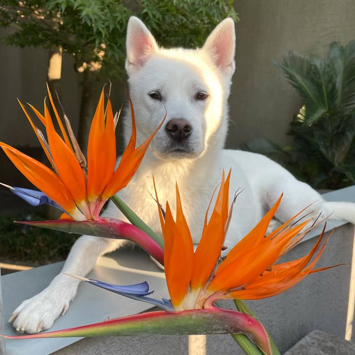 1535682c fcda 46c8 84fd fe0de61ec010 1635331792481