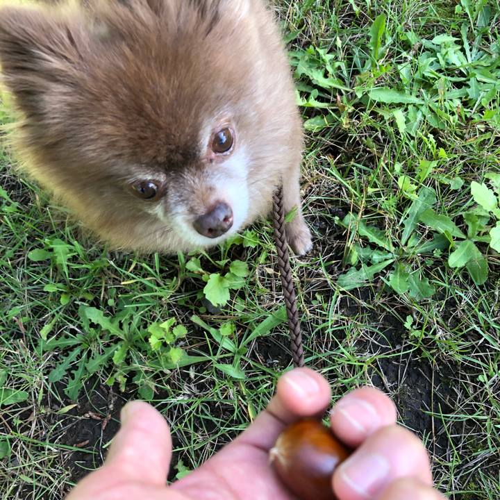 1535994a b9cd 45c3 bd34 c479c83c8cfa 1601941890646