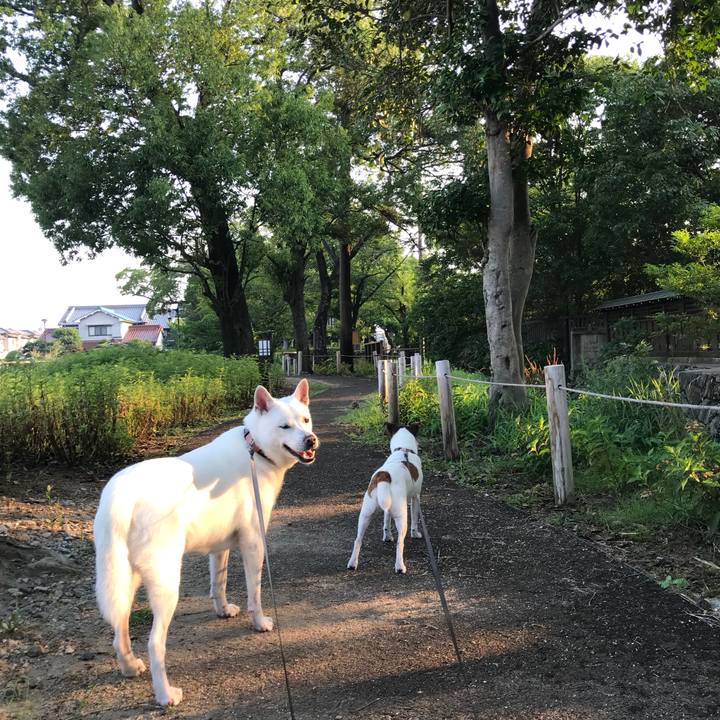 1535a1e0 60e9 483b 857b a2b868bf51d9 1531689875732