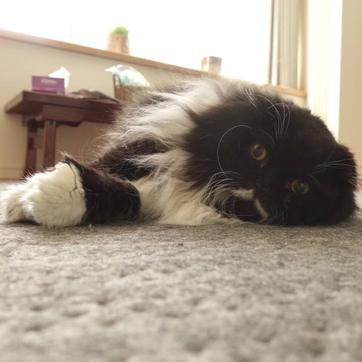 1535ac8c 89cb 4dec 886c ea9bc25ffb76 1548972786450