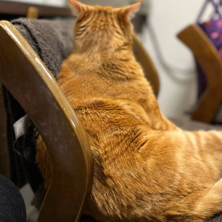 1535c0bd 8771 4738 883b c1e67d516585 1643583084516