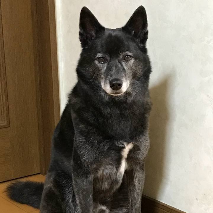 1535ea71 f147 4798 81f8 1c5fff9beee1 1512613706499