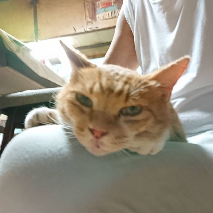 15363482 c0cd 4cda bf66 5d14fcca184a 1599555208634