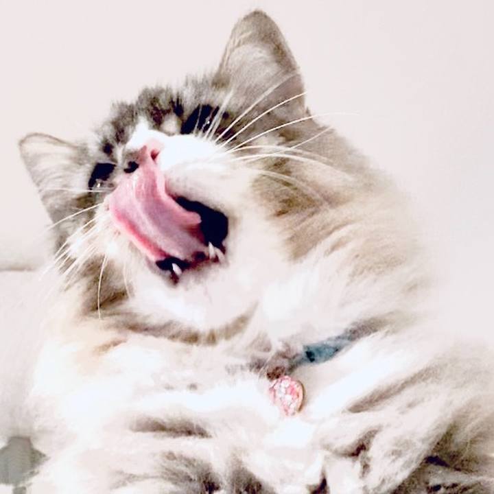 15366f59 8e04 4204 8fd7 39015433199a 1765293833524