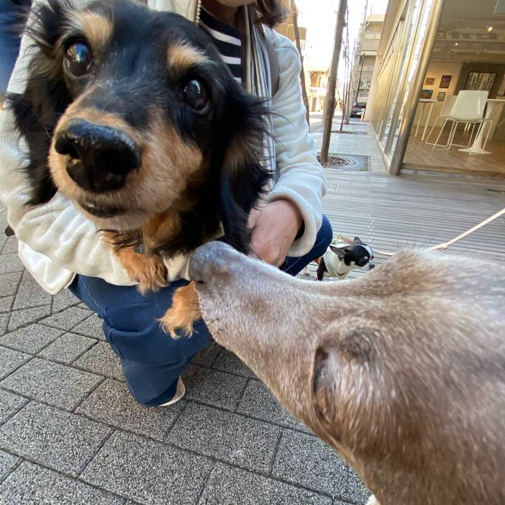 15368a69 1500 47bd 9447 4d65f3b52f53 1763785712476