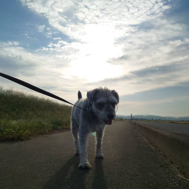 1536c22b aac2 4caf ba83 fcfad2afd8e1 1759447507679