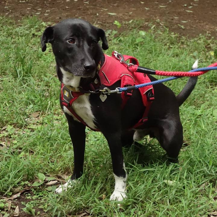 1536e9d4 e5be 4c35 aacb 476bbdff11f4 1592437029288