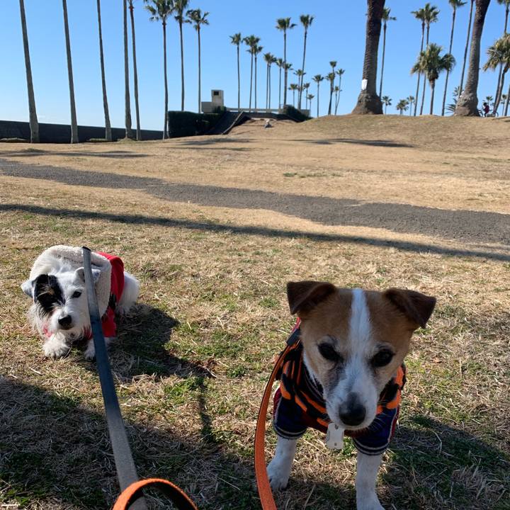 153734be 9fd9 4dab 8d32 084059a7b908 1645840991860