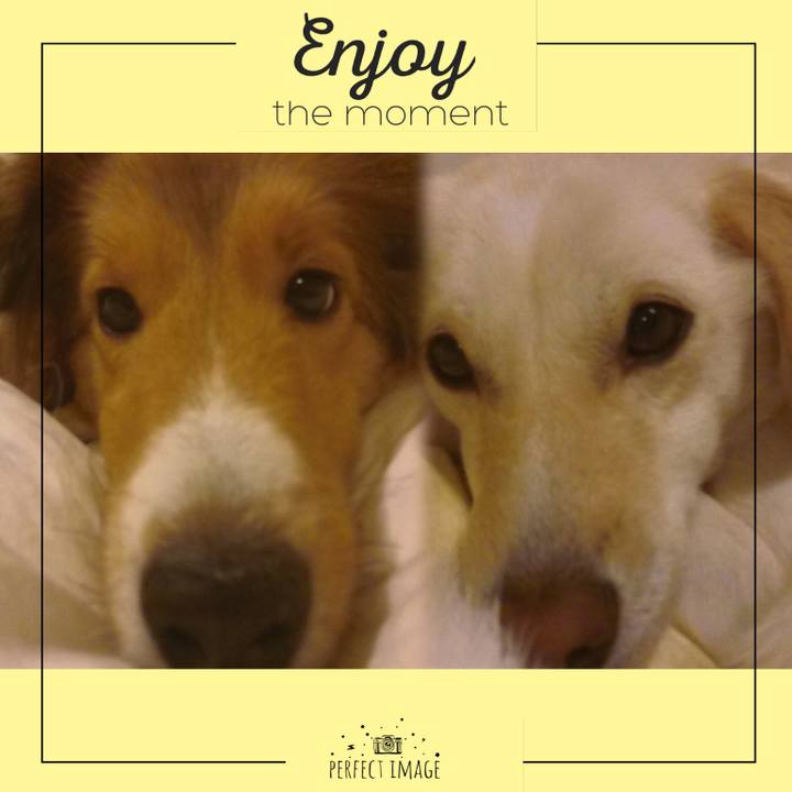 15374a34 8f54 432a 9b81 30bf3b19caf0 1579883176919