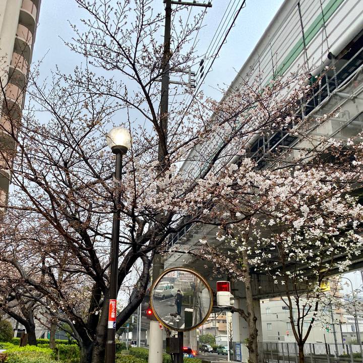 15376292 2036 43c8 9387 fecab24a80a9 1585356002977