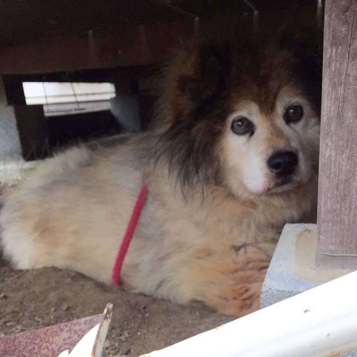 15377255 8b8c 489a a5d3 a57e6b2cadce 1601595878775