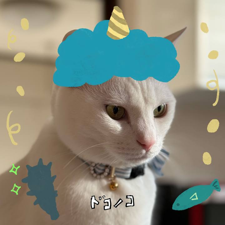 15379933 c49e 4ff9 914b 7ca92882ec33 1706875794705
