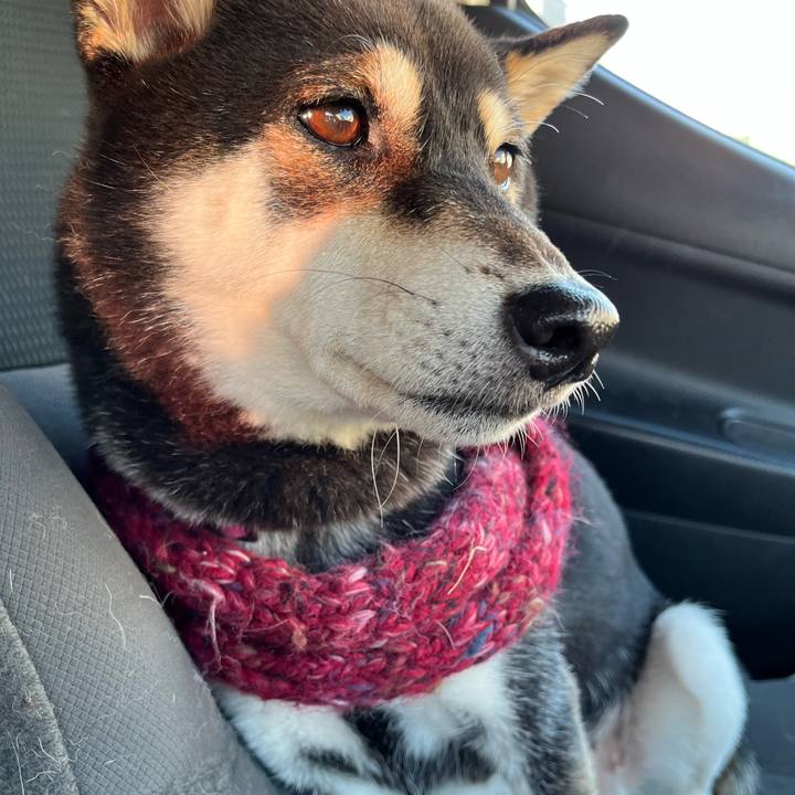 1537a789 398c 4571 b06e ced0ec075d11 1636291265174