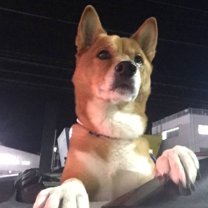 1537c1a0 78d1 469e bd78 936c298e3fe8 1637703482209