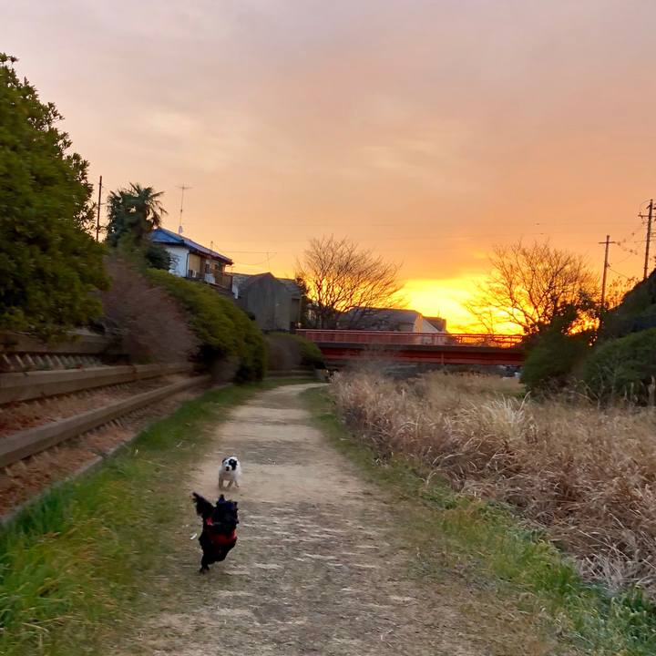 1537e56a 0858 40b1 b4f4 2ced92810894 1548630173722