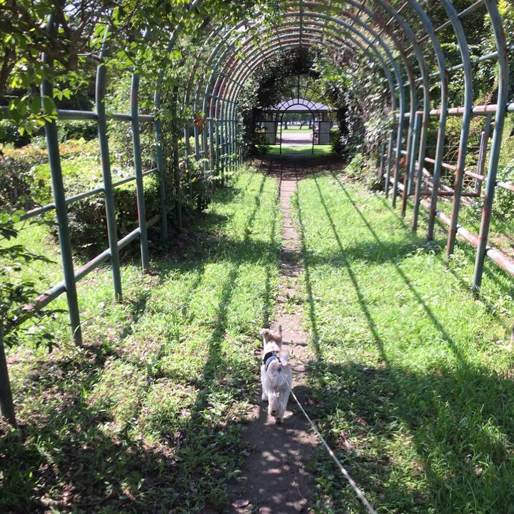 1537ecf1 6178 4fd9 ac1c 0e54dd59d73d 1537165405470