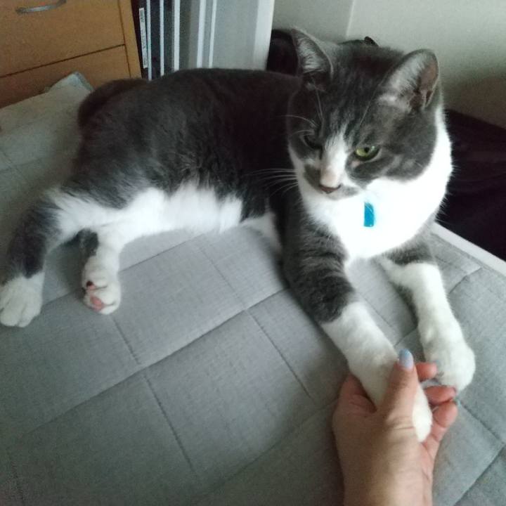 1537fdab 5d86 4887 8aab b85fd8aa5e3f 1628811412666