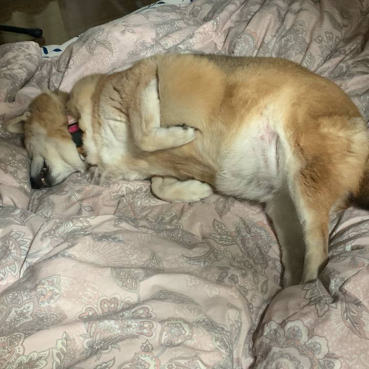 15382c4d b9f2 4bc1 bd75 8dd56c88ab44 1613828383734