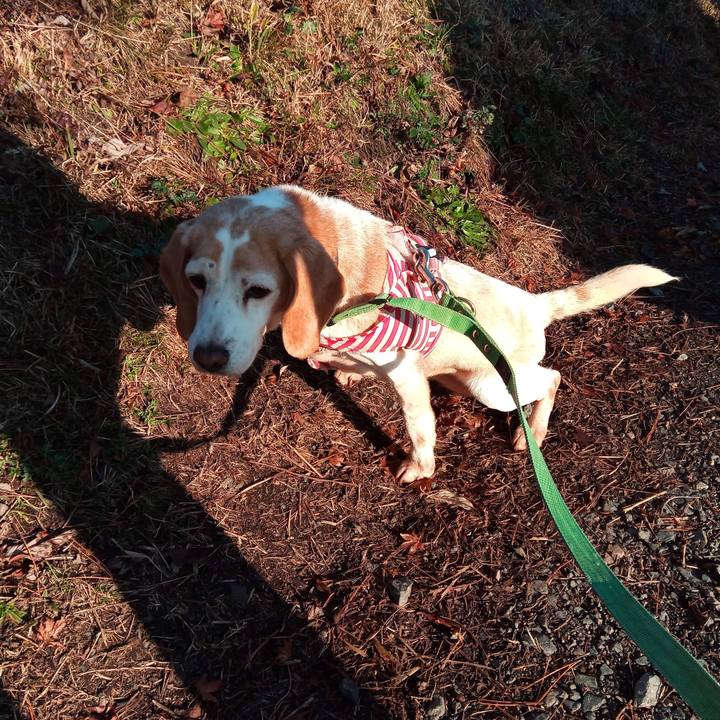 1538308f 3cac 45e4 ab99 c0937a228b08 1606823157630