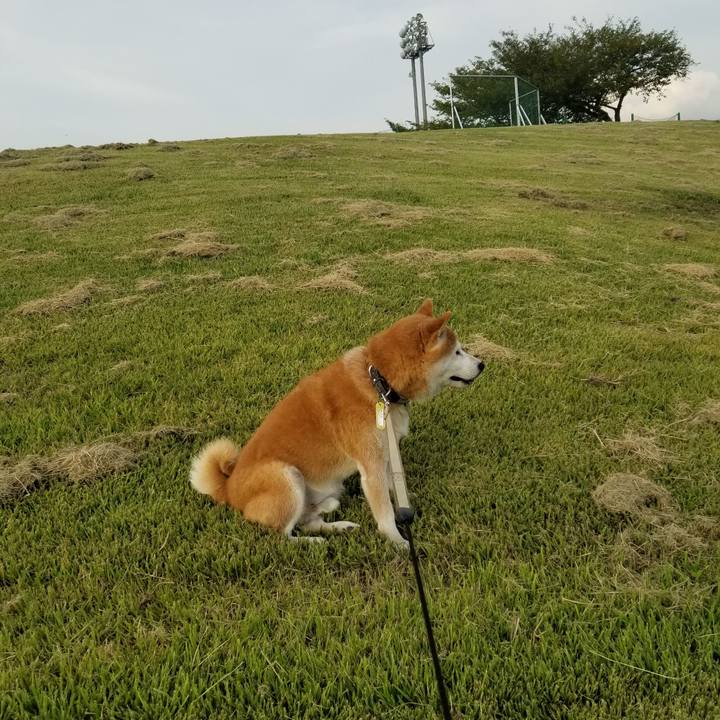 153847c7 b487 466d 9e92 5c14950f4609 1663229302020