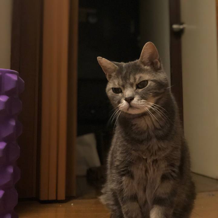 153871df 3081 4a76 9f13 8578c15c601d 1535904147621