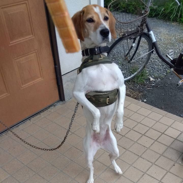 15389e6a 81a0 4ba9 99ea 78641fc4c8de 1686801679181