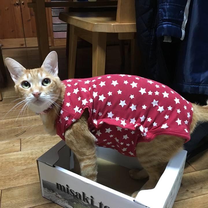 1538aa2e 496b 4617 96fd 025f276316cb 1512811987357